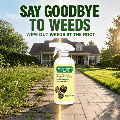 🔥 2026 SALE - Full-Size 300ML Fast-Acting Weed & Grass Killer Spray