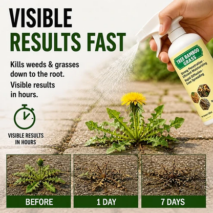 🔥 2026 SALE - Full-Size 300ML Fast-Acting Weed & Grass Killer Spray
