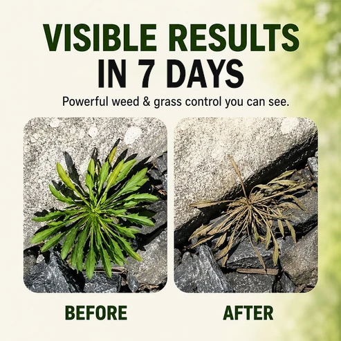 🔥 2026 SALE - Full-Size 300ML Fast-Acting Weed & Grass Killer Spray