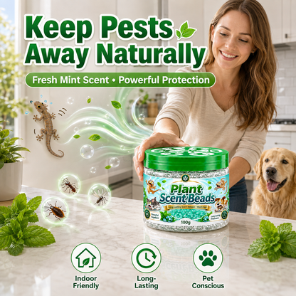 🌿 Natural Gecko Repellent Gel Beads – 100g Mint Pest Deterrent 🦎
