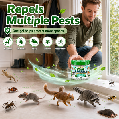 🌿 Natural Gecko Repellent Gel Beads – 100g Mint Pest Deterrent 🦎